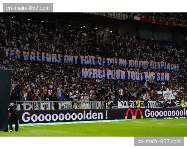 实时：南特对阵勒阿弗尔比赛因球迷冲入场地中断15分钟